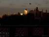 tower42