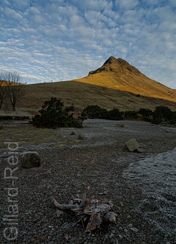 yewbarrow photo