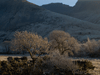 Great Gable