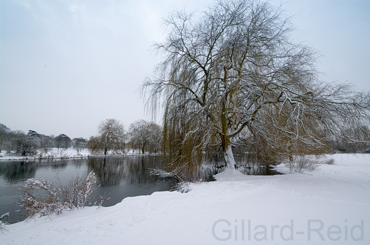 Bexley, winter