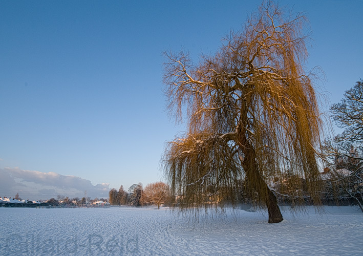 Bexley, winter