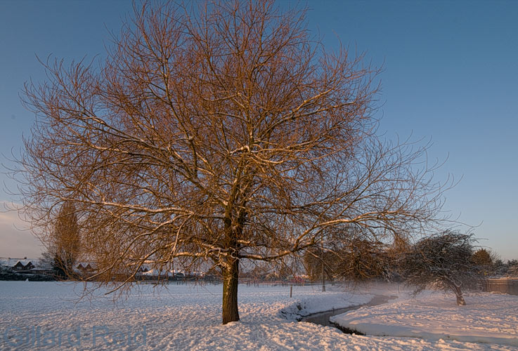 Bexley, winter