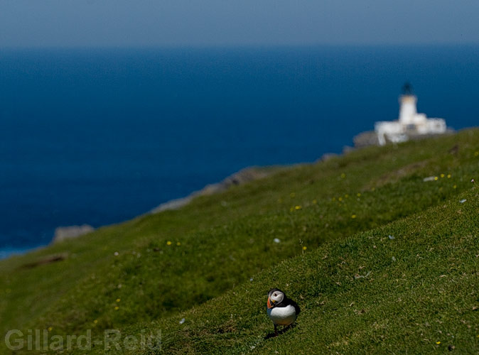 muckle flugga lighthouse