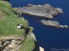 Sumburgh Head photos