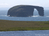 Dore Holm