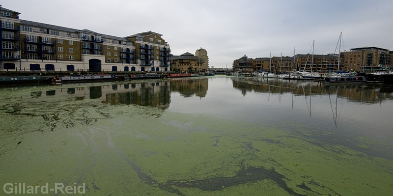 regents canal photos