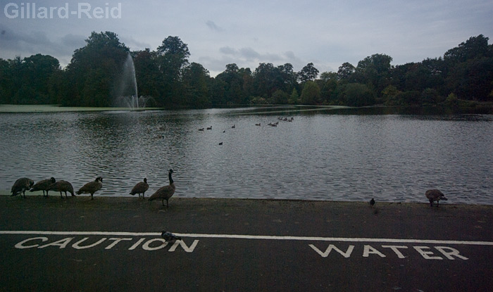 regents canal photos