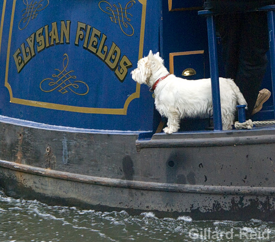 regents canal photos