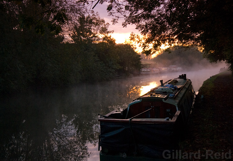 dawn on the lee