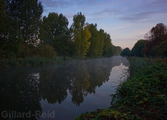 dawn on the lee