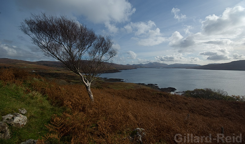 mull - JPEG photo