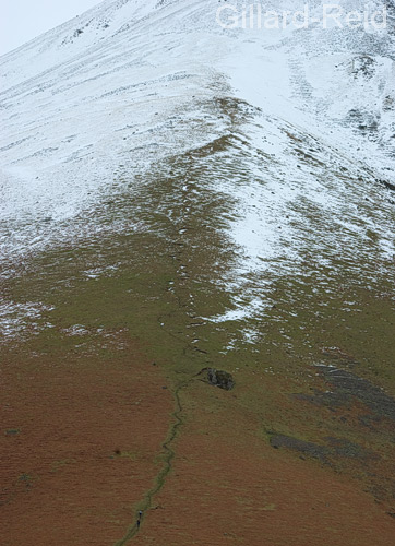 kirk fell