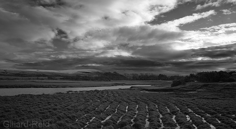 looking towards Black Coombe