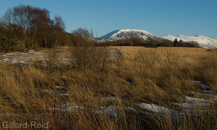 Ennerdale