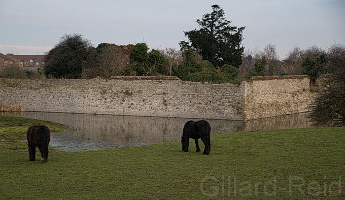 Thames path
            extension - photo