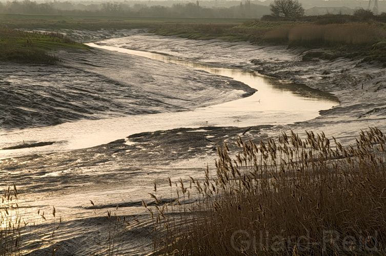 Thames path extension - photo