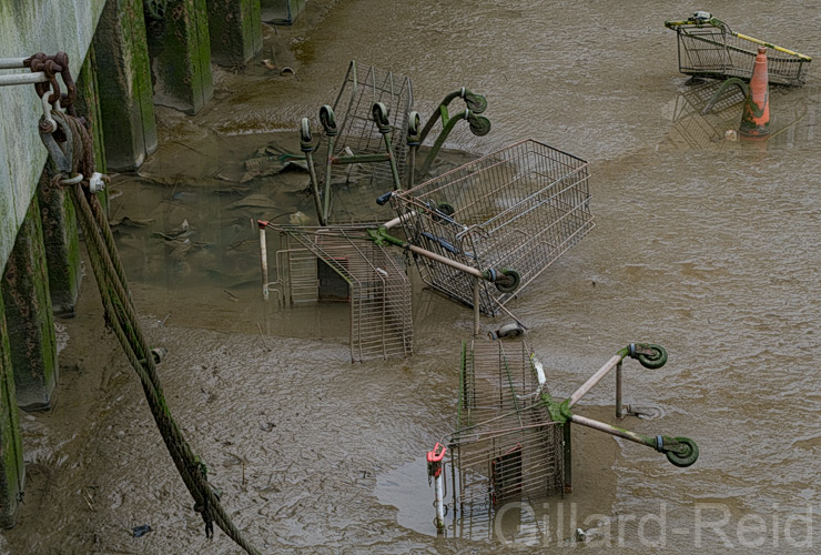 Thames path extension - photo