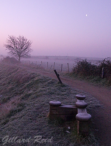 Thames path extension -
            photo