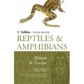 reptiles