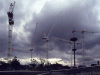 Cranes by Thames