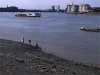 photo
                  Thames