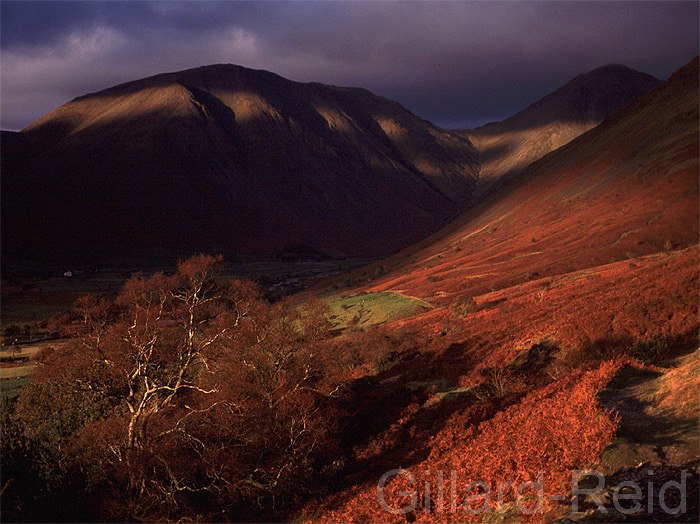 photo kirk fell