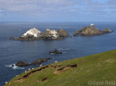 muckle flugga, the end of
                the UK