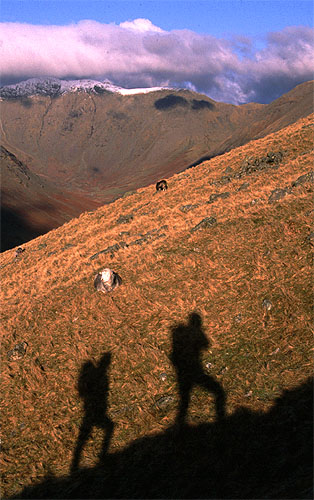 looking towards Mosedale