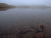 sprinkling tarn